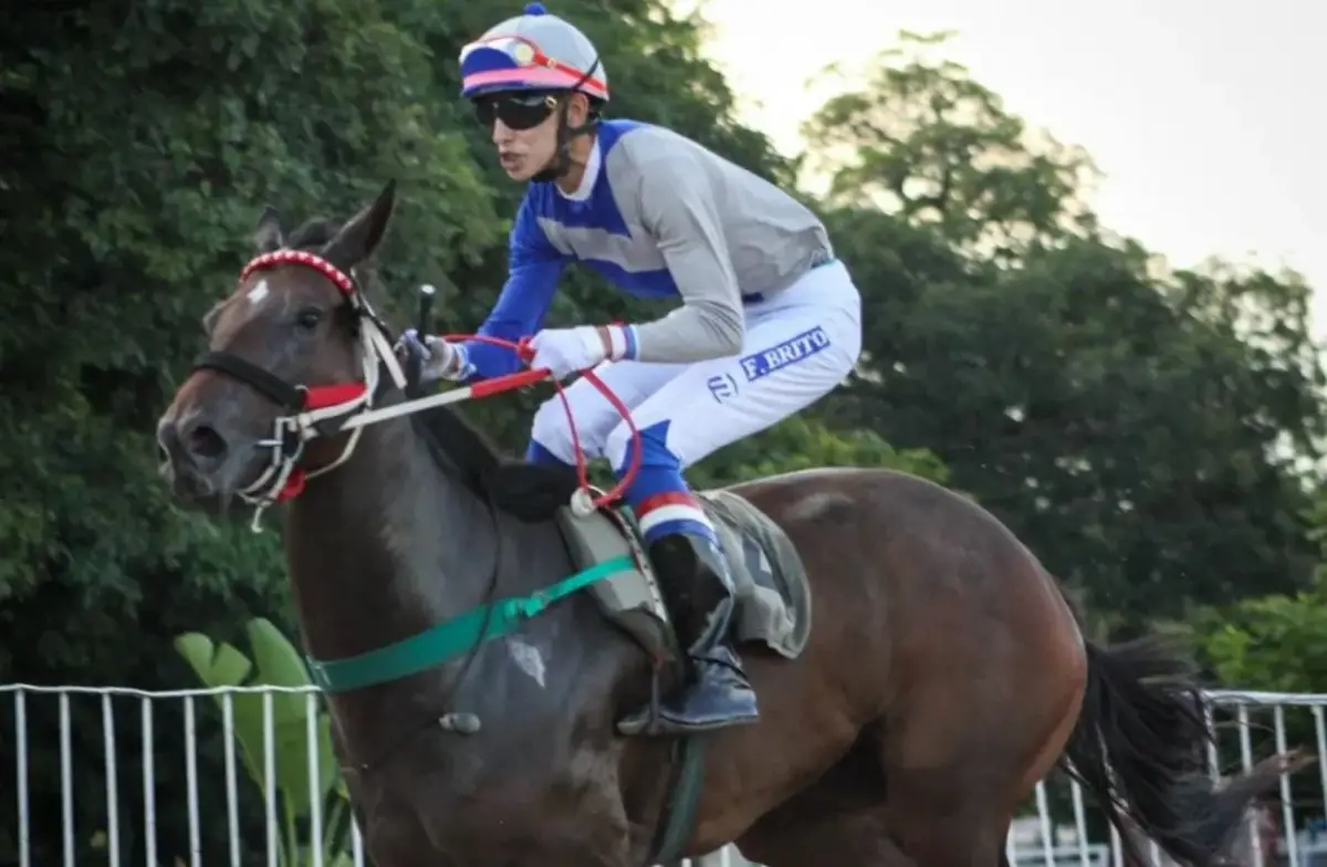 INVICTA. La potranca Holly se destaca en el cotejo reservado para la nueva generación.