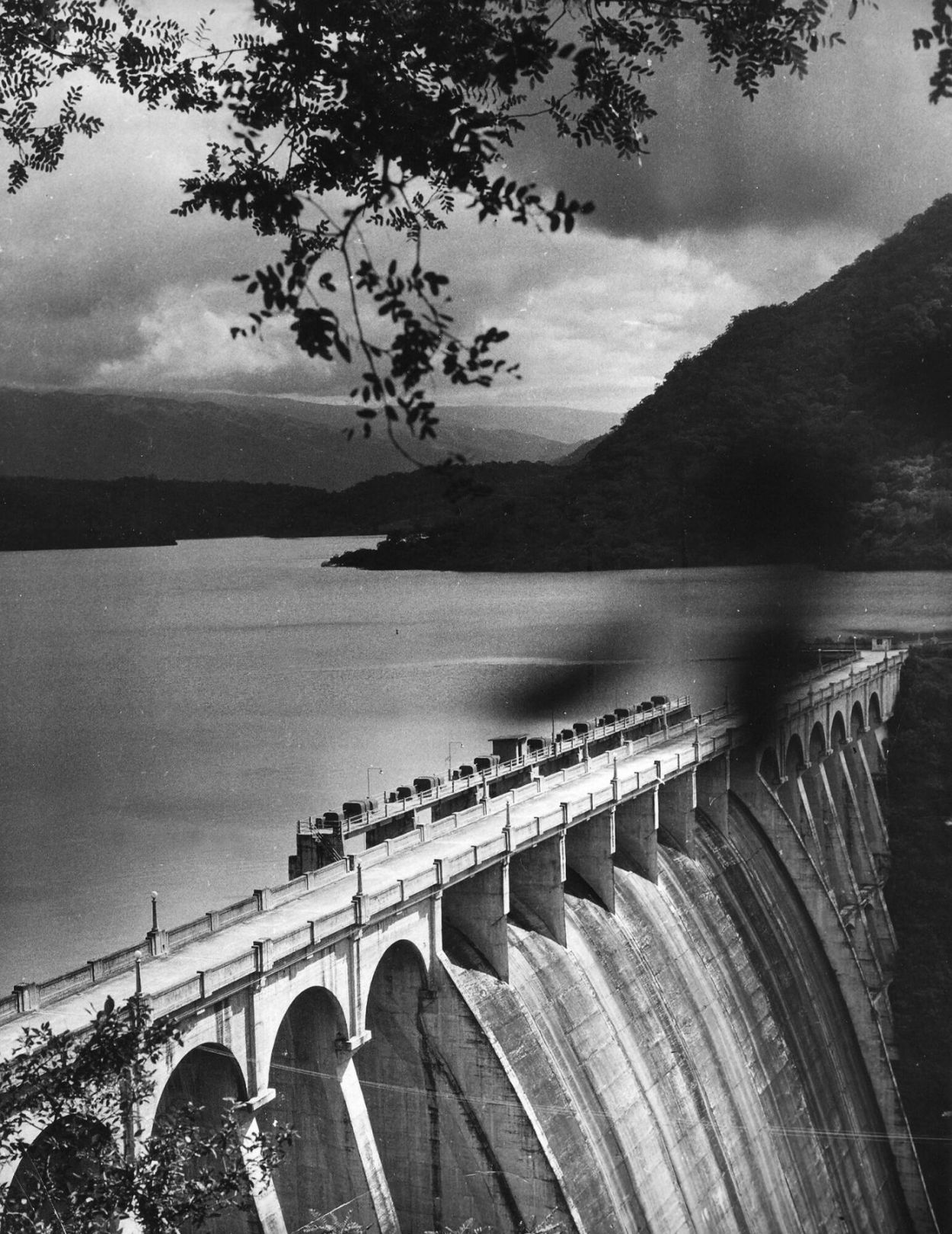 Recuerdos fotográficos: la colonia de murciélagos de Escaba