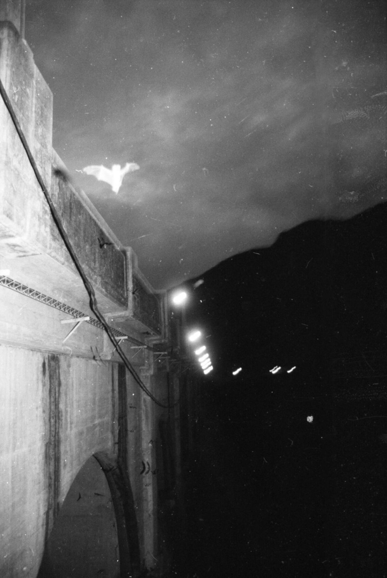 Recuerdos fotográficos: la colonia de murciélagos de Escaba