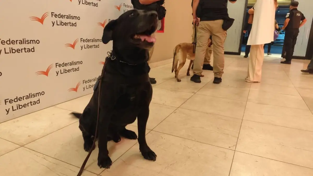 Refuerzan las medidas de seguridad