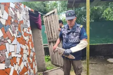 Rescataron un caraguay y lo liberaron en su hábitat