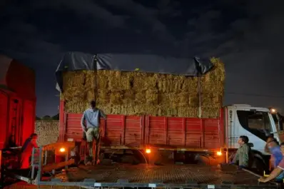 Refuerzan la entrega de alimentos y atención veterinaria en zonas afectadas por las tormentas