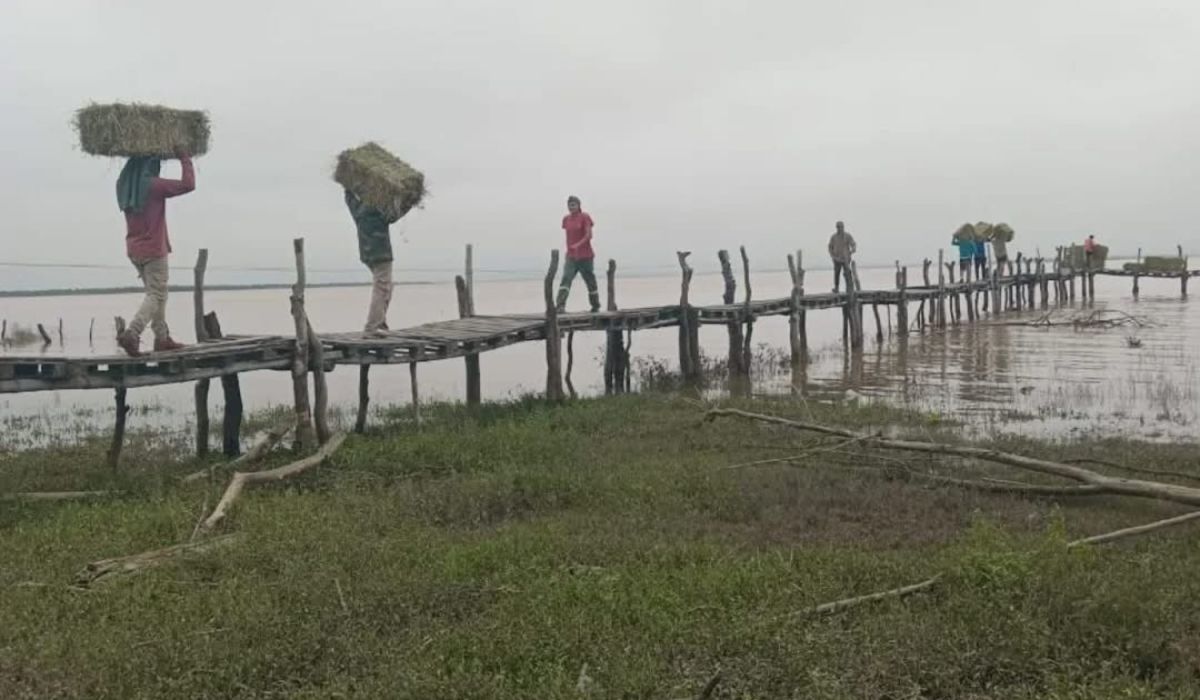 Refuerzan la entrega de alimentos y atención veterinaria en zonas afectadas por las tormentas