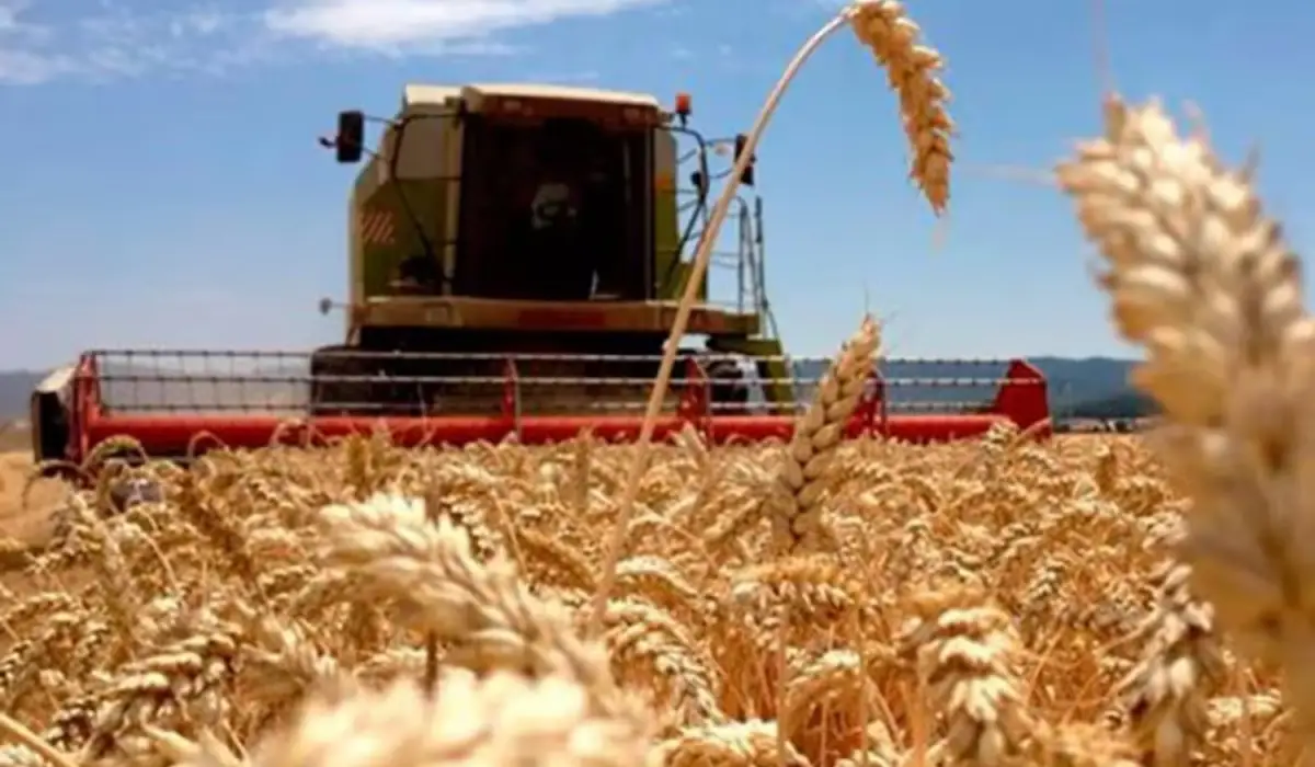 INDEC. La economía argentina creció 4,4% en 2025.