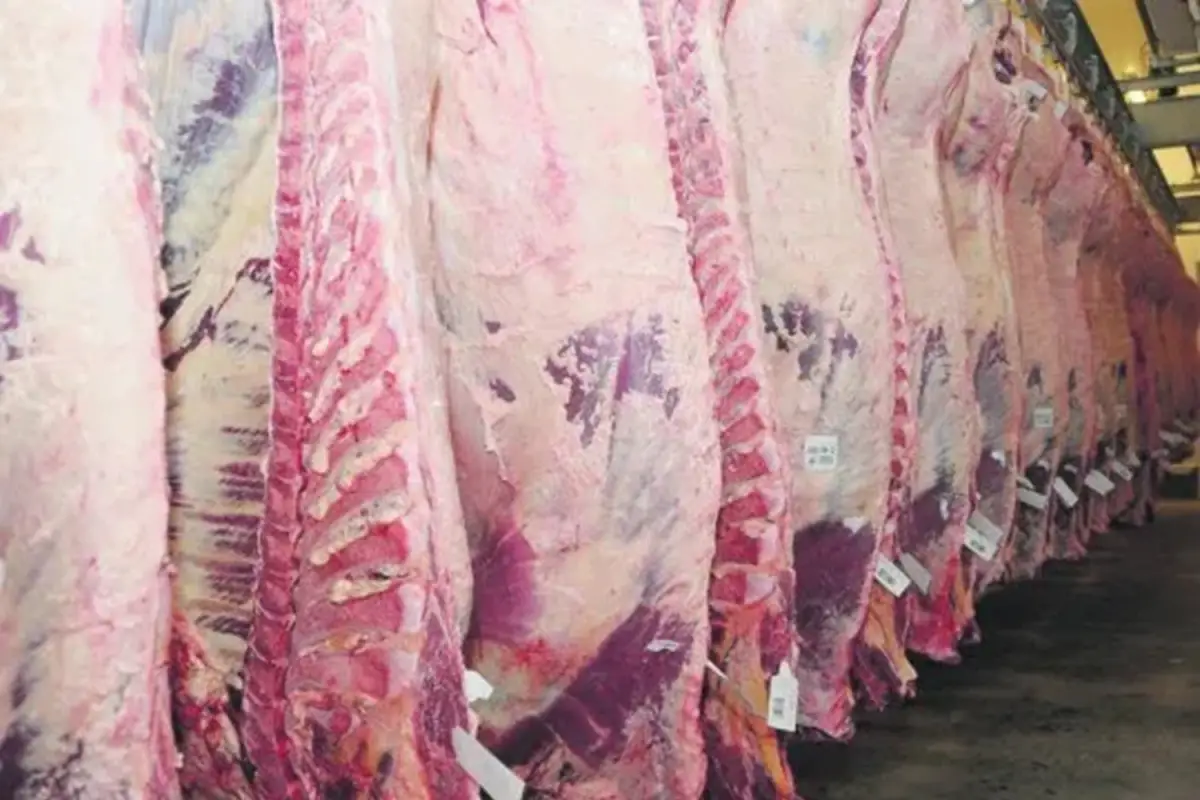 La situación de ArreBeef se enmarca en un momento de crisis que afecta a toda la industria cárnica.