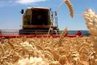 La economía argentina creció 4,4% en 2025: ¿qué sectores impulsaron la suba?