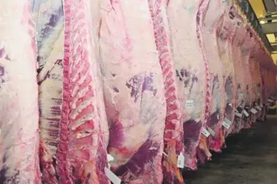 Más problemas para el frigorífico ArreBeef: tras suspender 400 operarios, ahora China bloquea sus exportaciones