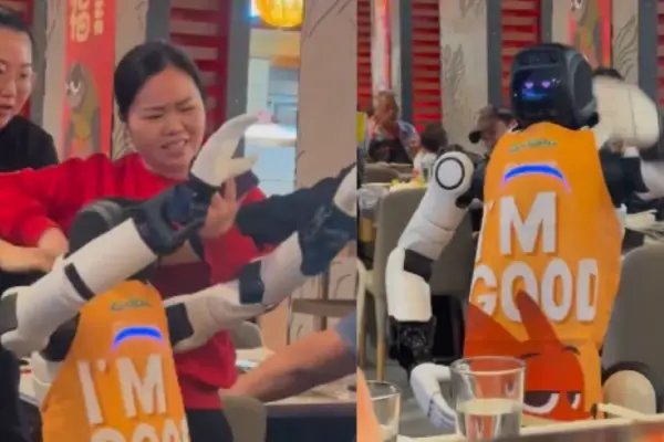 Ni autonomía, ni revelación apocalíptica: la reacción del robot mozo tiene una explicación mucho más simple