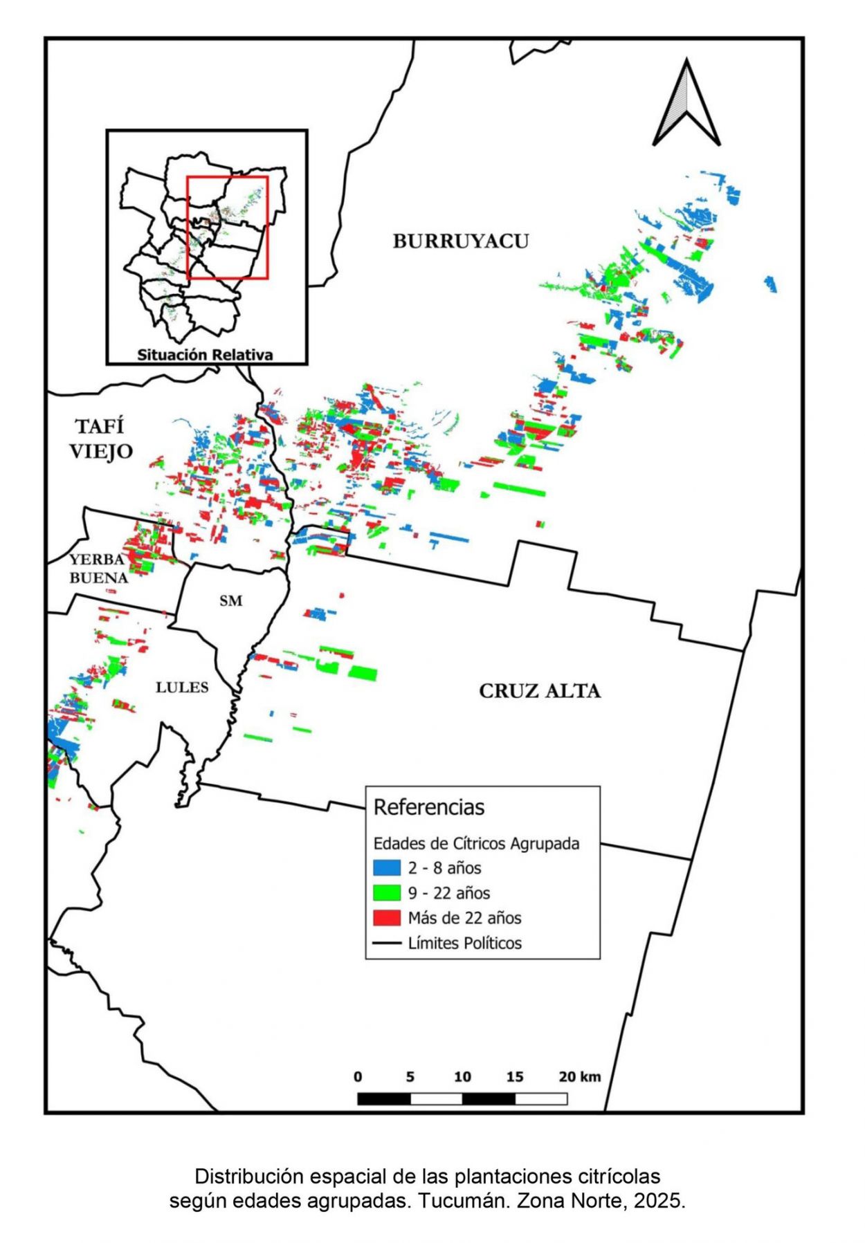 Casi el 72% de los cítricos en Tucumán se ubica en el rango que va de los dos a 22 años de edad