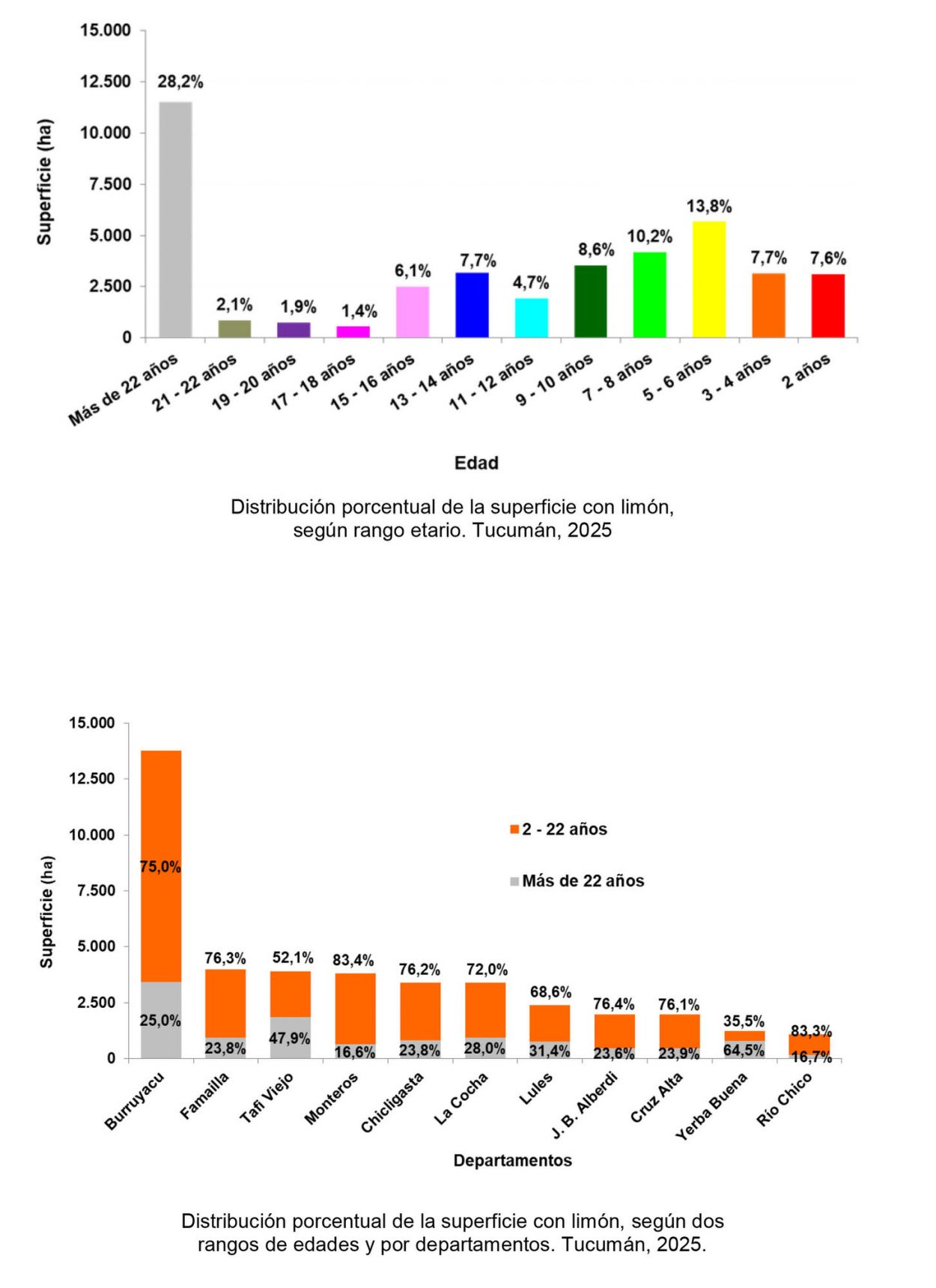 Casi el 72% de los cítricos en Tucumán se ubica en el rango que va de los dos a 22 años de edad