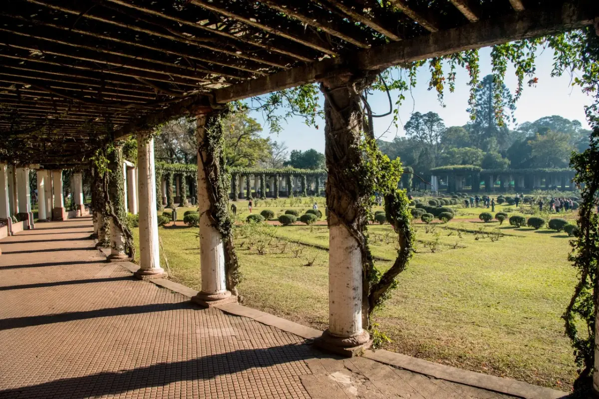 Parque 9 de Julio: inician la recuperación integral del Rosedal