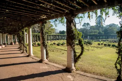 Parque 9 de Julio: inician la recuperación integral del Rosedal