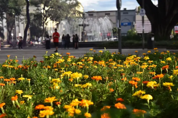 El verano se despidió con calor y deja paso al otoño lluvioso