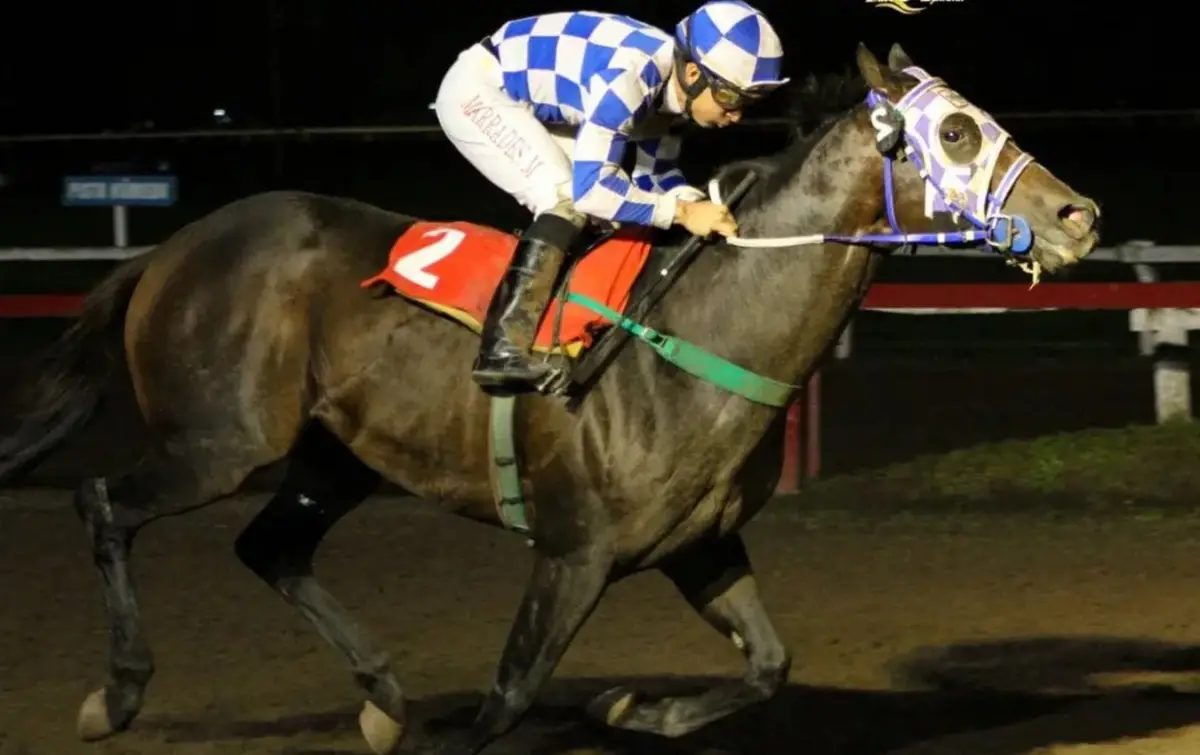 GRAN MOMENTO. Golden Warrior contó con la acertada conducción de Marrades en la prueba más importante del mitin.