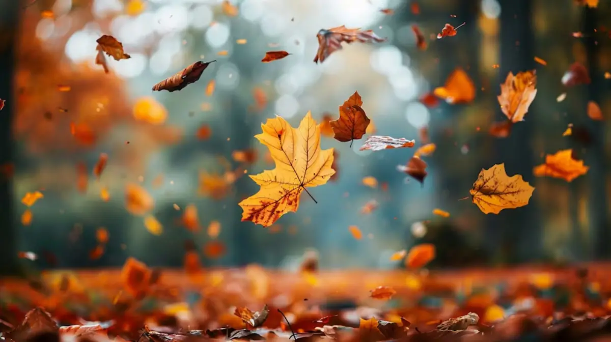 Cómo estará el clima en otoño 2026: el SMN anticipa calor y cambios en las lluvias