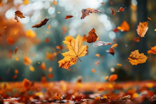 Cómo estará el clima en otoño 2026: el SMN anticipa calor y cambios en las lluvias