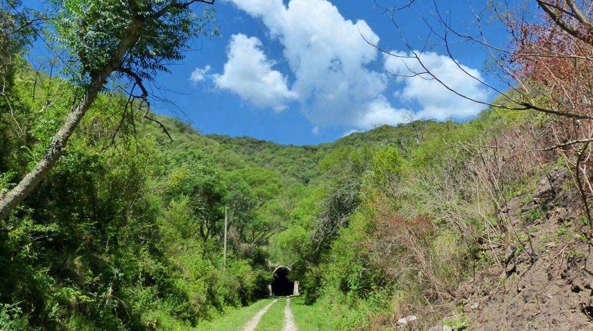 Los túneles se mezclan con el verde de la yunga. 