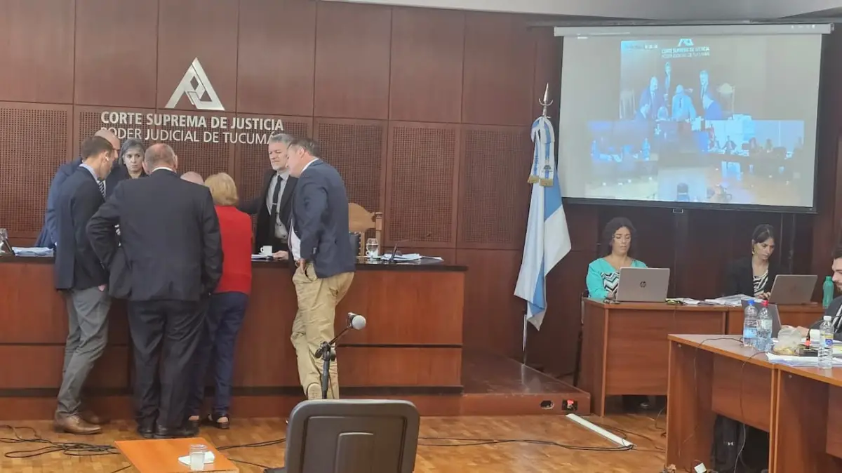 Durante la audiencia, los jueces, las partes y la perito Luna Urrejola observaron las fotos del expediente.