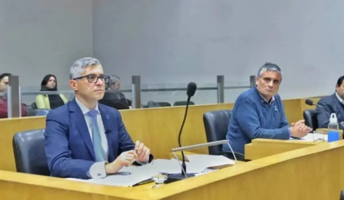 Tras la caída del gomero: solicitan informes sobre el estado de los Árboles Notables de la capital