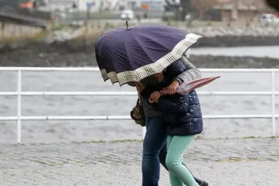 Hay alerta amarilla por vientos fuertes: ¿en qué provincias deberán extremar los cuidado?