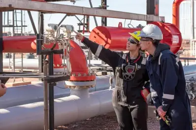 Presentación en EEUU: estiman que Argentina podría superar una producción de 1,5 millones de barriles diarios hacia 2031