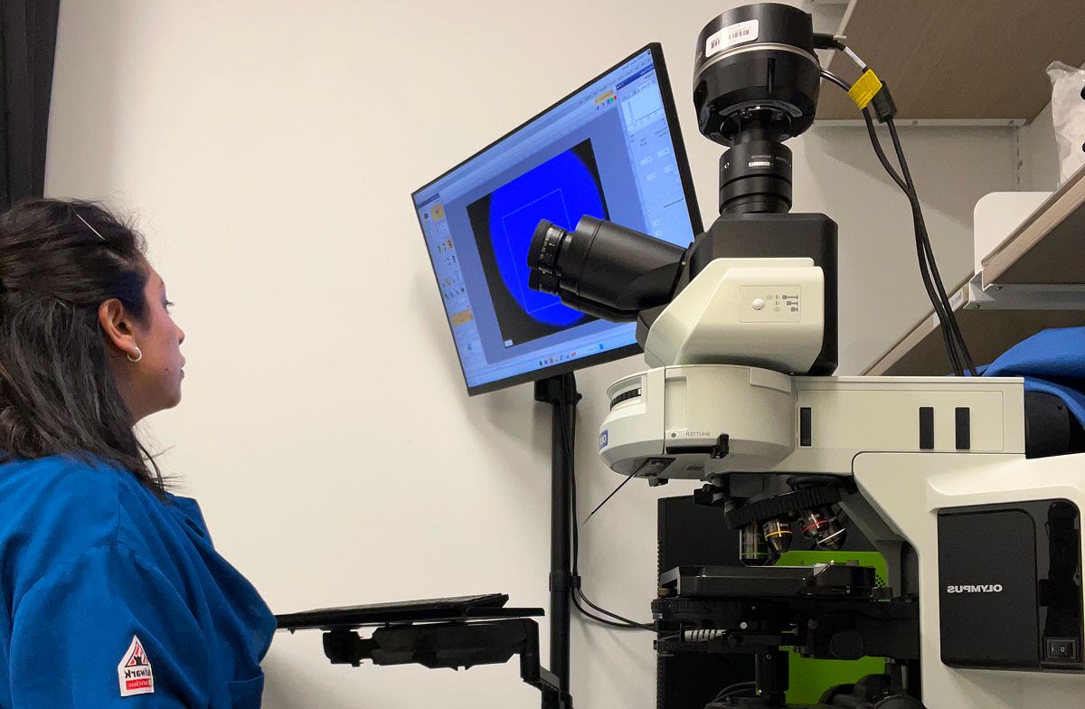 EN EL LABORATORIO. Entre laboratorios, código y nuevas rutinas: así es la vida de una científica tucumana en Boston. / CORTESÍA DANIELA GONZÁLEZ