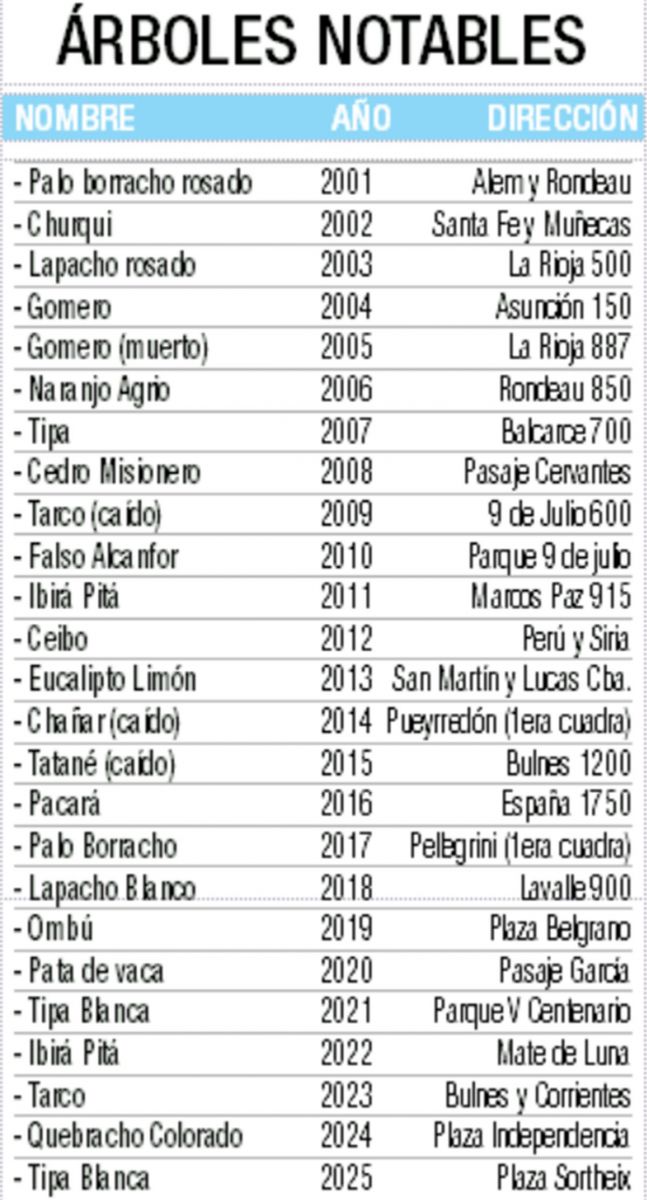 La madre que plantó un árbol para que el recuerdo de su hijo siga creciendo