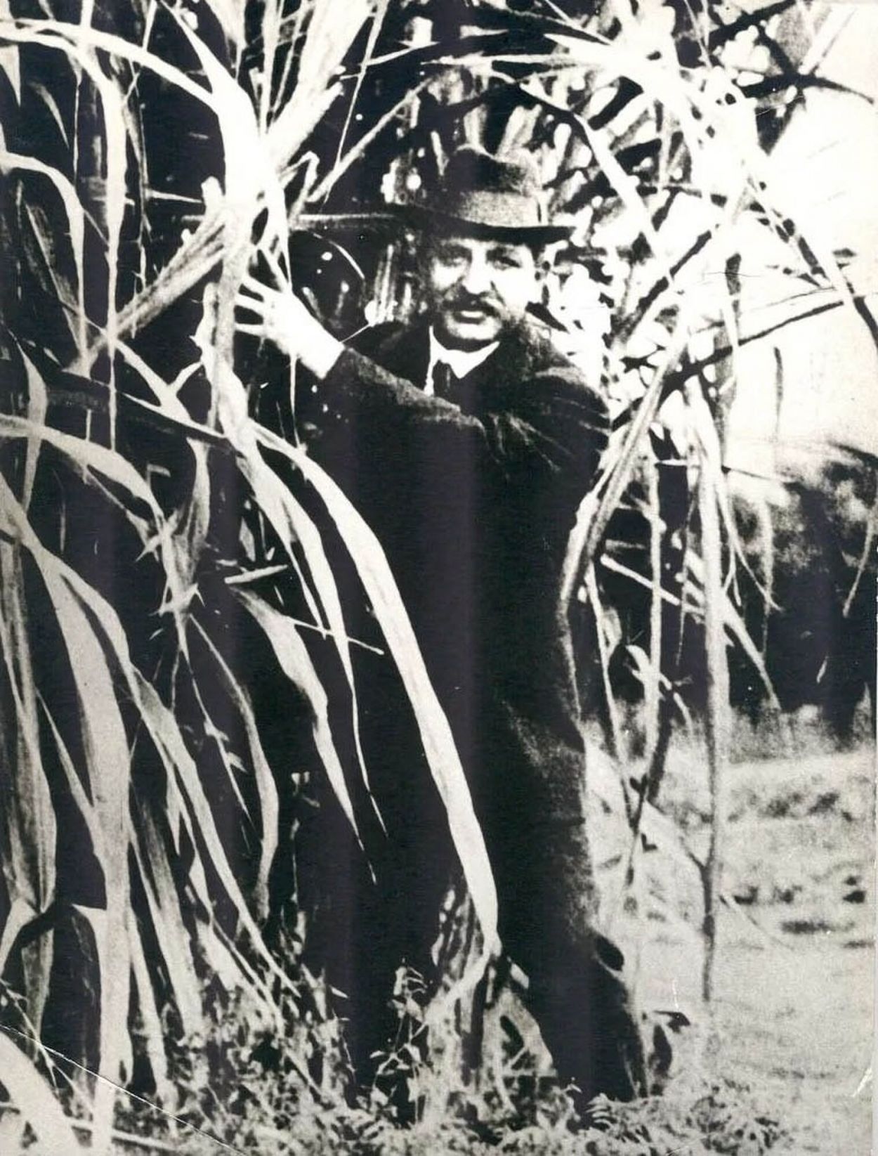 Recuerdos fotográficos: Villa Nougués, “el país de veraneo para Tucumán”