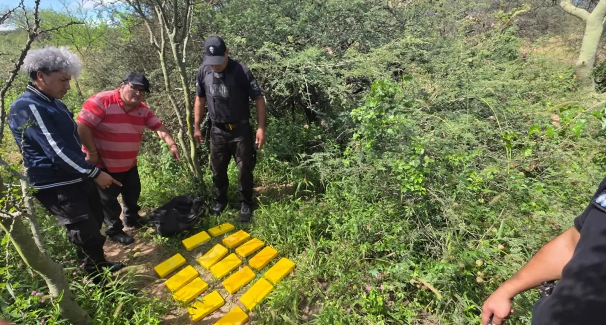 Operativo Lapacho: secuestran 25 kilos de cocaína en Tucumán y buscan a dos sospechosos