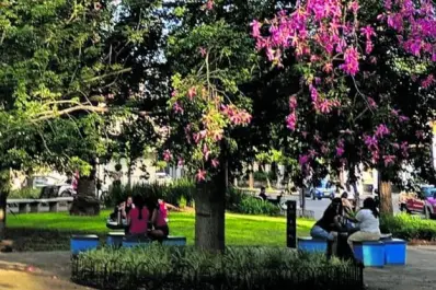 La madre que plantó un árbol para que el recuerdo de su hijo siga creciendo