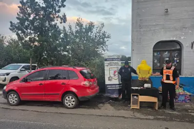 Penalistas explican por qué está creciendo el tráfico de cannabis en el NOA