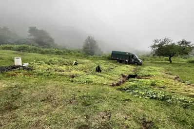 Investigaciones abiertas: dudas sobre el origen de la marihuana que se trafica en la región
