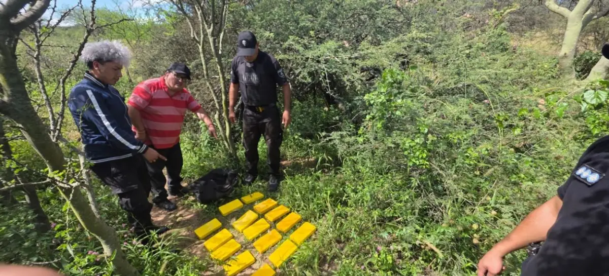 Operativo en el monte: dos jóvenes arrojaron 25 kilos de cocaína