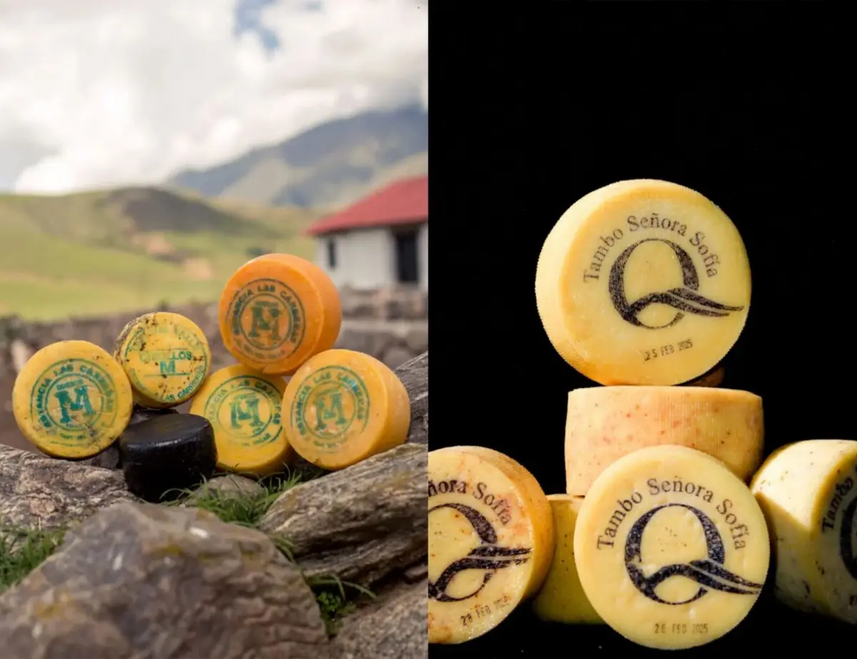 RASGO. Algo que vuelve único al queso de Tafí del Valle es su origen en un ambiente de altura -entre 2.000 y 3.000 msnm, rodeado por cordones montañosos que generan un microclima.