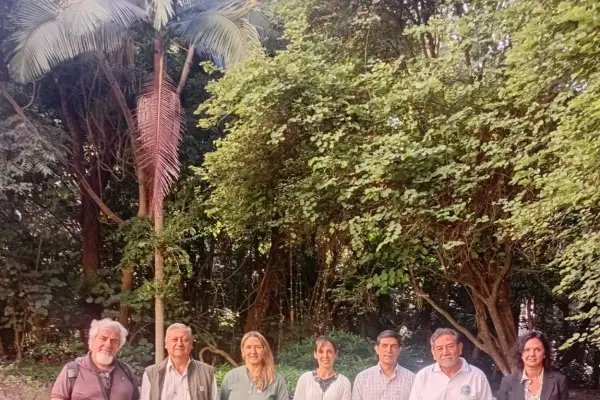 Por qué la quinoa podría ser una solución alimenticia pensada fuera de la Tierra