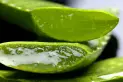 Un exfoliante de aloe vera casero, fácil de preparar, para mejorar la salud de tu piel