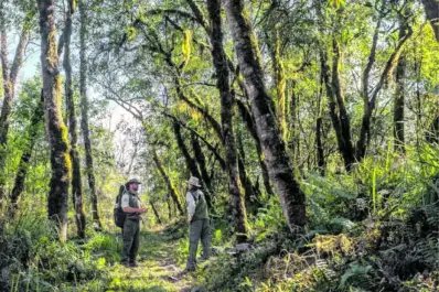 La Legislatura dispuso que se conectarán áreas protegidas en Tucumán