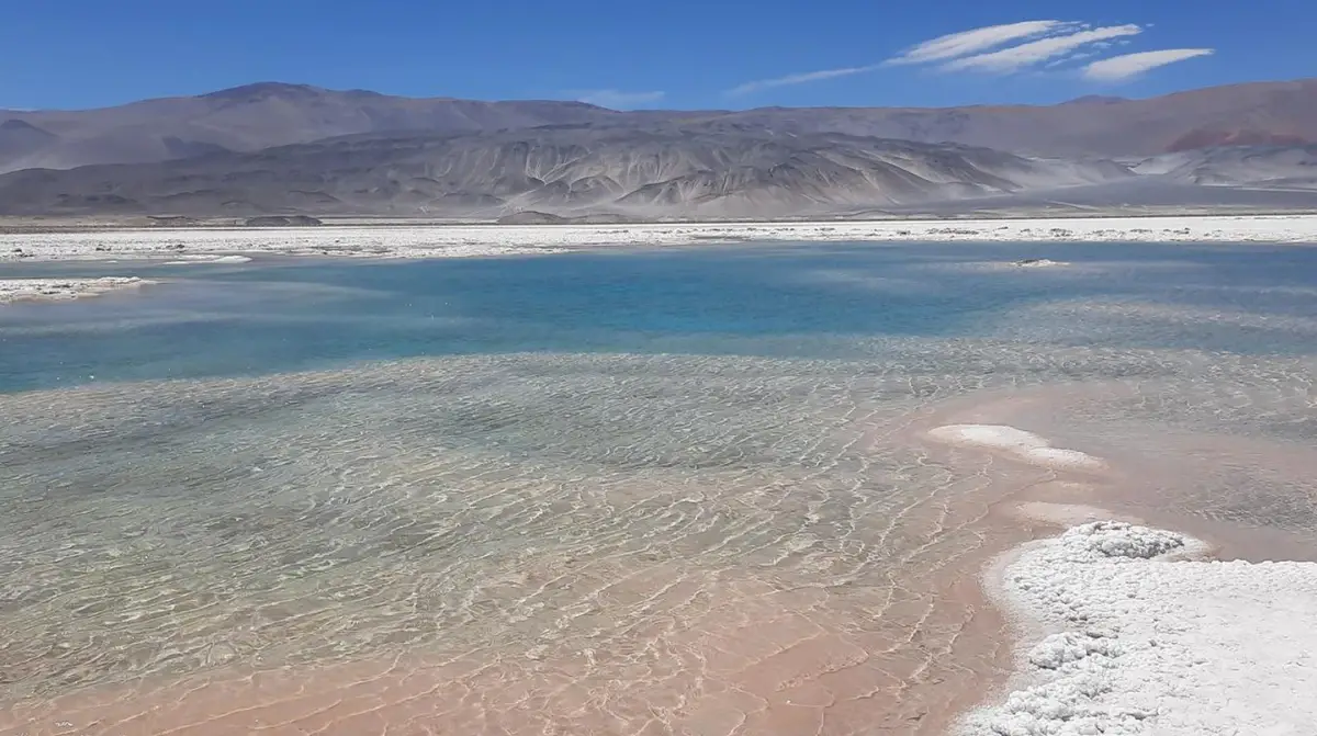 El salar de Antofalla se ubica a 3900 metros sobre el nivel del mar en la Puna catamarqueña