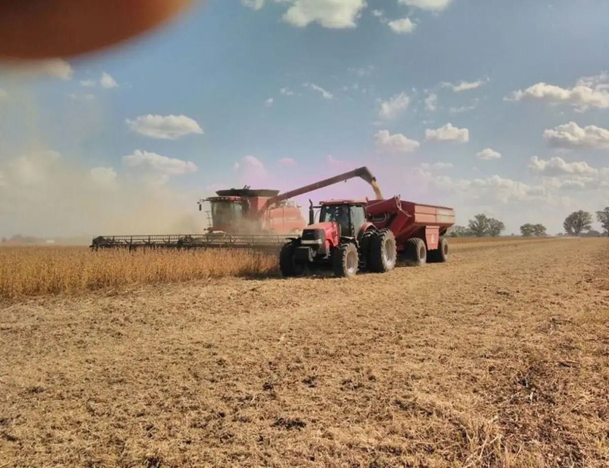 El 62,5% de la renta agrícola se queda en impuestos
