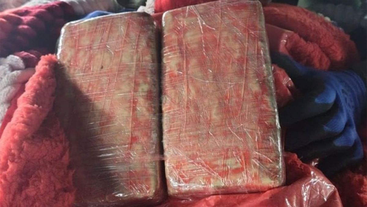 Tucumán se aleja en la cima del ranking de secuestro de marihuana en el NOA