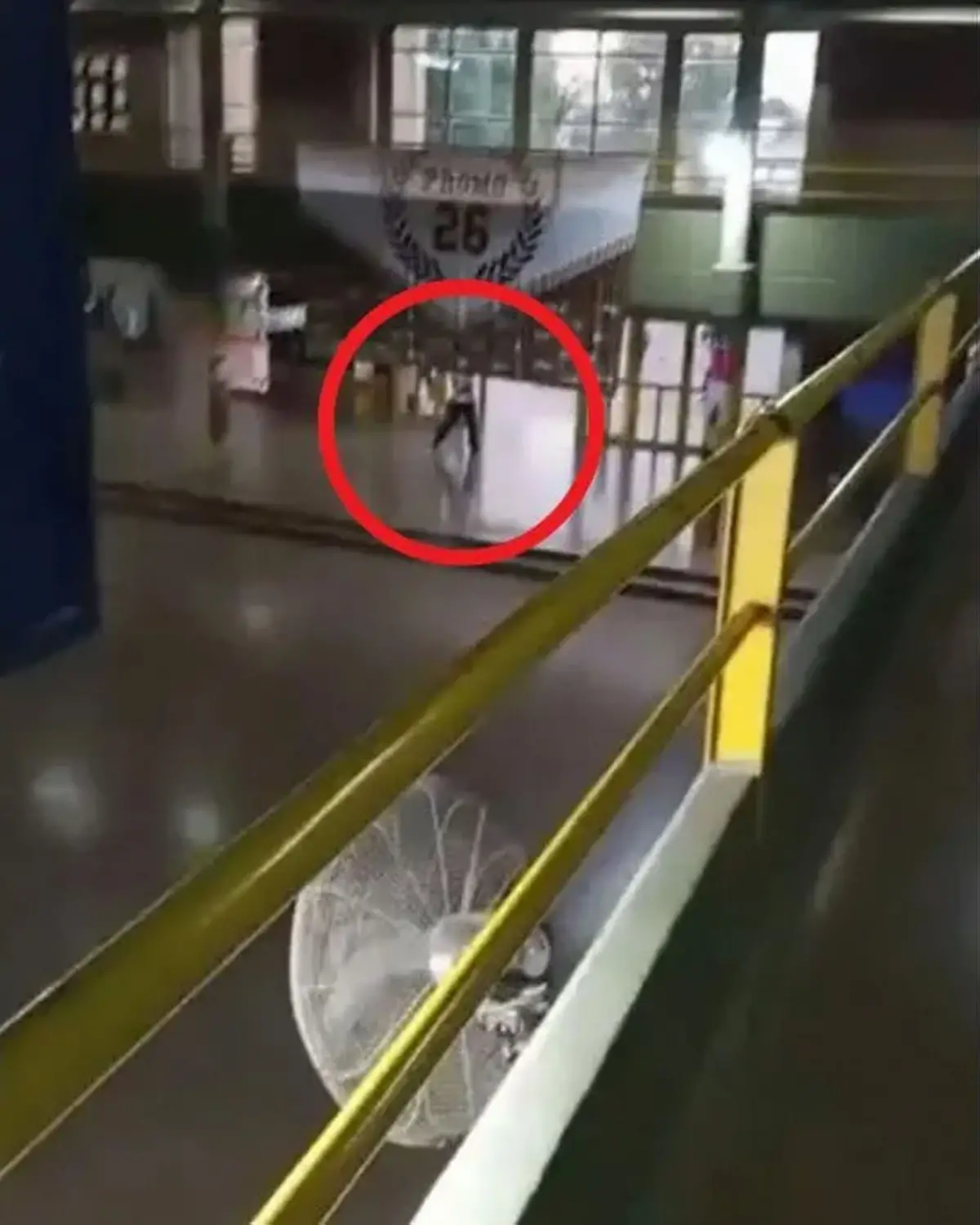 Una tragedia insoportablemente absurda