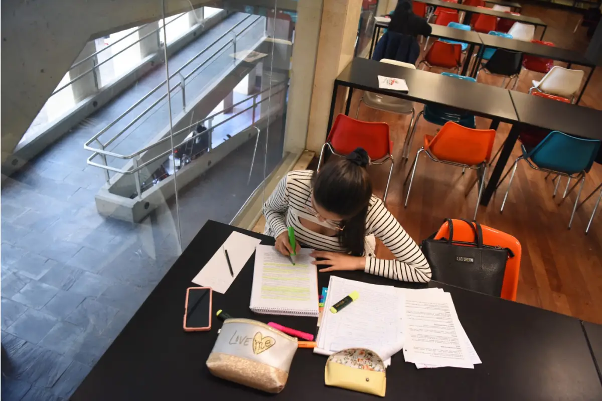 DILEMA. Luego del colegio, los estudiantes tienen el peso de tomar una decisión que parece ser cada vez más difícil. LA GACETA / FOTO DE ANALÍA JARAMILLO