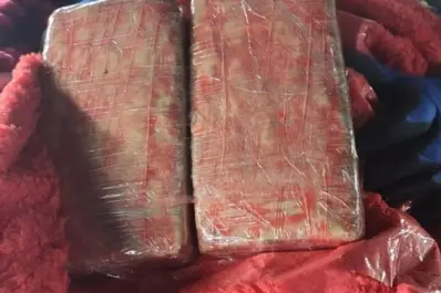 Las flores de cannabis, nueva alternativa para los narcos