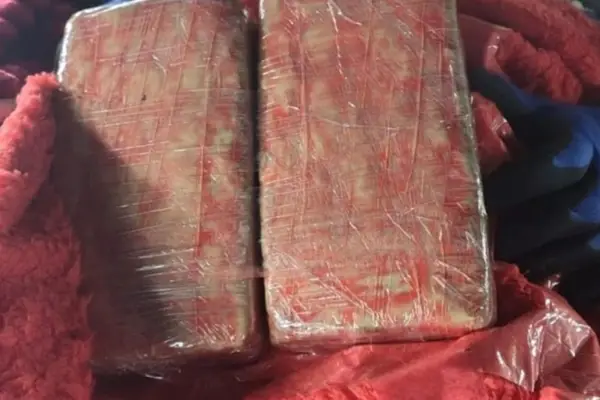 Las flores de cannabis, nueva alternativa para los narcos