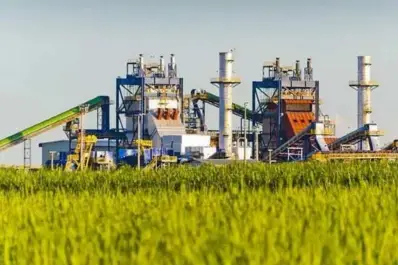 En Brasil, la caña no es solo un cultivo, sino fuente de producción energética