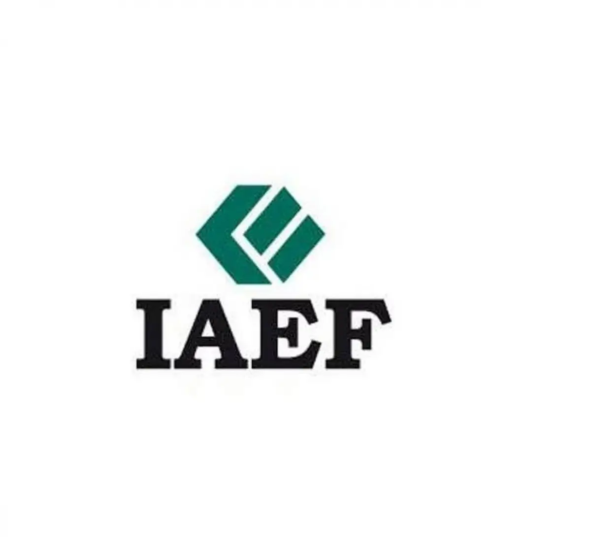 Foro IAEF: “El interior como plataforma dedesarrollo”