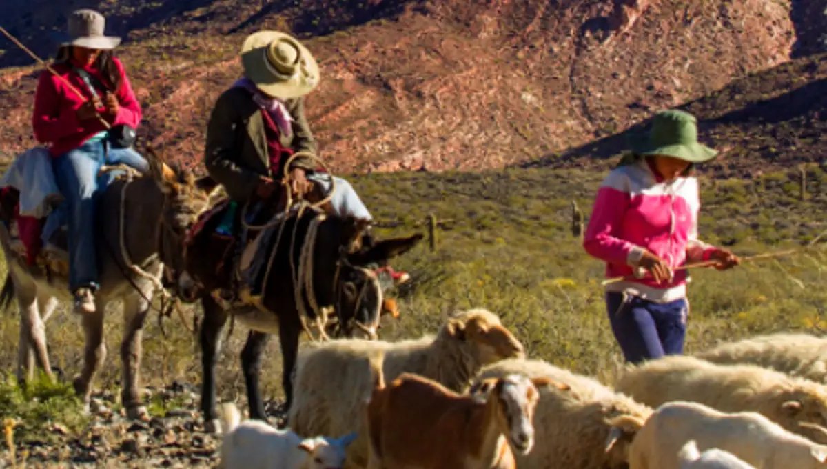 Banco Macro presenta su memoria anual reporte integrado 2025