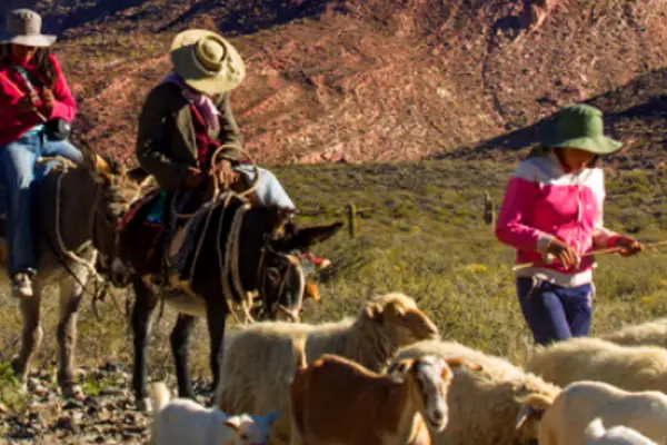 Banco Macro presenta su memoria anual reporte integrado 2025