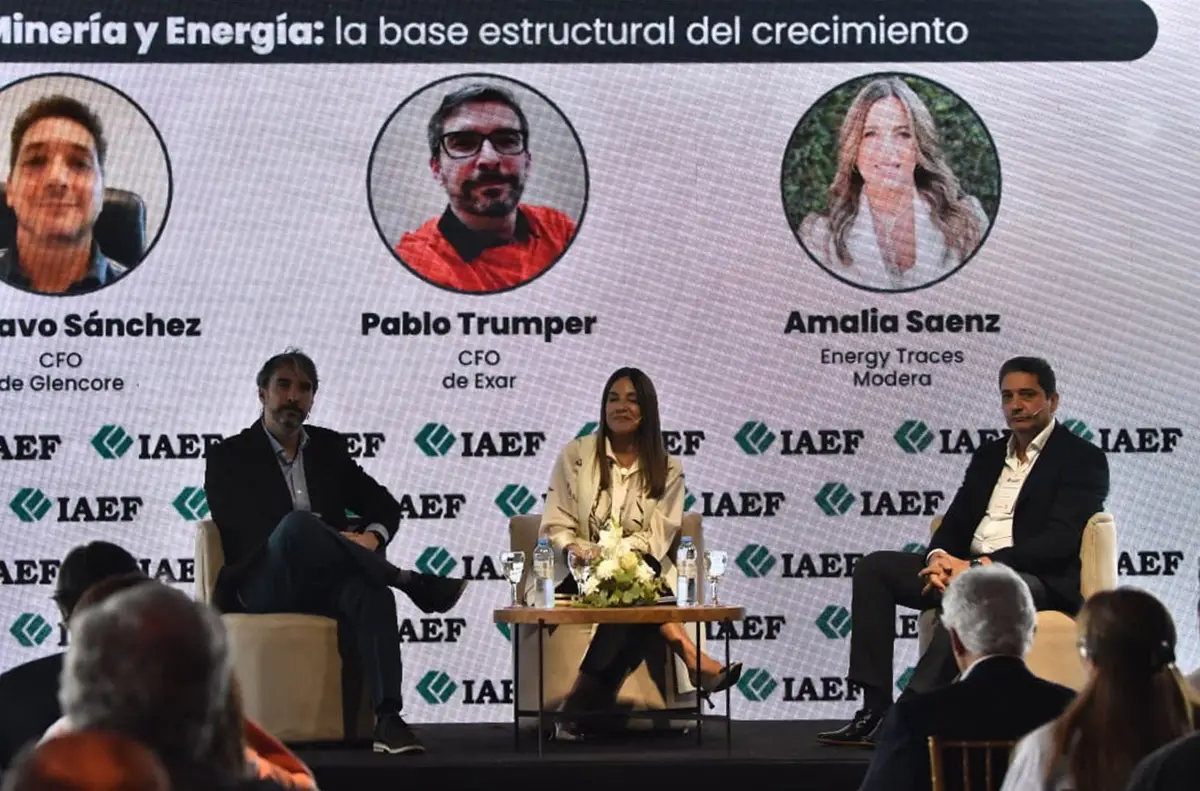 SOBRE MINERÍA. Pablo Trumper, Amalia Sáenz y Gustavo Sánchez.