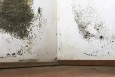 El truco definitivo para limpiar las manchas de humedad de la pared sin lavandina